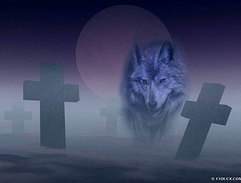 Wolf Howling Darkness, wolf howling, full moon, howling, werewolf, howling wolf, wolf HD wallpaper