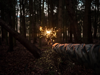 Night, Hand, Miscellanea, Miscellaneous, Forest, Sparkler HD wallpaper