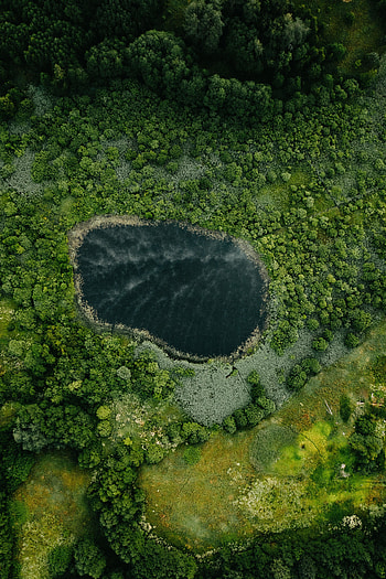 Oval lake, forest, nature, aerial view HD phone wallpaper