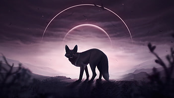 Fox Wolf , fox, wolf, artist, artwork, digital-art, deviantart HD wallpaper