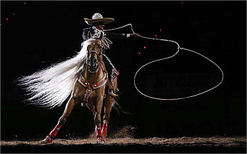 Flank strap, Rodeo HD wallpaper