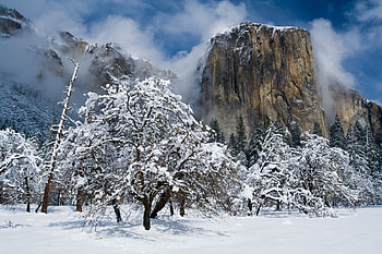 Snow, , Yosemite National Park, California, Cliff, Mountain, Nature, Tree, Winter, National Park HD wallpaper