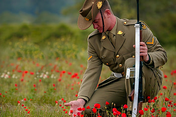 Remembrance Day: Soldier in a Poppy Field —, soldier HD wallpaper