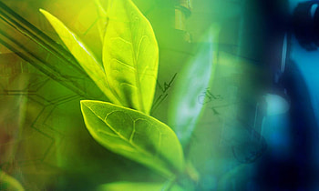 Go Green, Digital transformation, Agro and Chemistry industry HD wallpaper