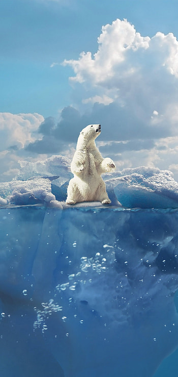 Majestic Arctic creature, Powerful predator, Polar fur mastery, Arctic dominion HD phone wallpaper