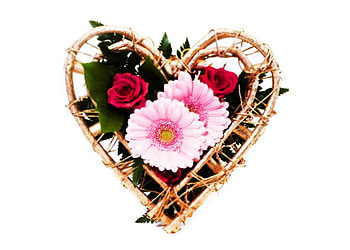 Heart, colors, nature, flowers HD wallpaper