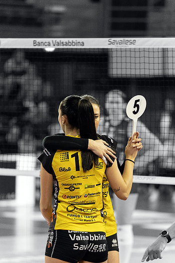 Sports, volleyball HD phone wallpaper