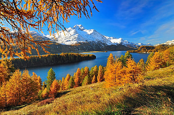 Mountain and river in autumn, mountain, river, fall, view, autumn, beautiful HD wallpaper