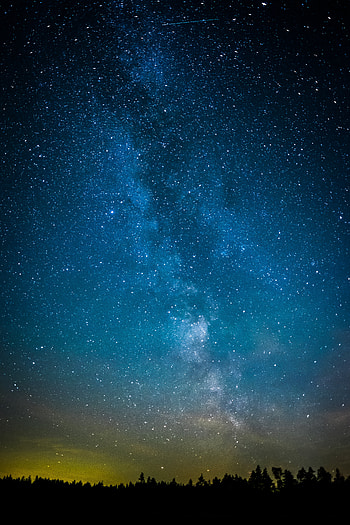 Trees, Universe, Stars, Dark, Starry Sky HD phone wallpaper