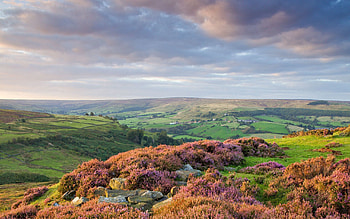 Nature, Flowers, Stones, Sky, Mountains, Clouds, Horizon, Hills, Slopes HD wallpaper