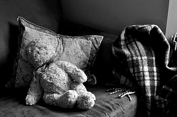 Miscellanea, Miscellaneous, Toy, Plush, Old, Bw, Chb, Room, Pillow, Sofa HD wallpaper