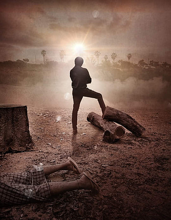 Bheemla nayak, star, hero HD phone wallpaper