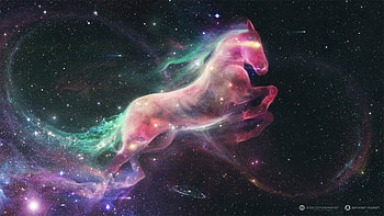Infinity, colorful, pink, horse, creative, fantasy, ography, luminos HD wallpaper