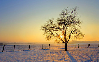Landscape, Nature, Sunset, Snow HD wallpaper