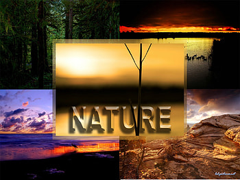 Nature, landscape, cool, beautiful, colours, nice HD wallpaper