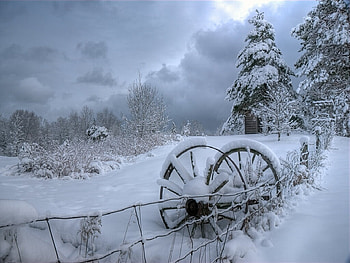 Countryside Winter, snow, fence, landscape, trees, wheels HD wallpaper