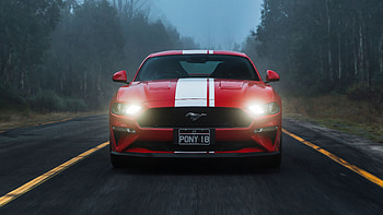 Ford Mustang GT, sports car, red HD wallpaper