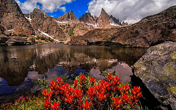 Mountain tranquility, tranquility, wildflowers, reflection, sky, rocks, mountain, lake, serenity, beautiful HD wallpaper