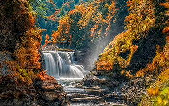 Waterfall, river, nature, tree HD wallpaper