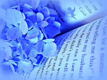SWEET NOTHINGS IN BLUE, blue, soft, beautiful, romance, writing, , sweetness, flowers, romantic, lovely HD wallpaper