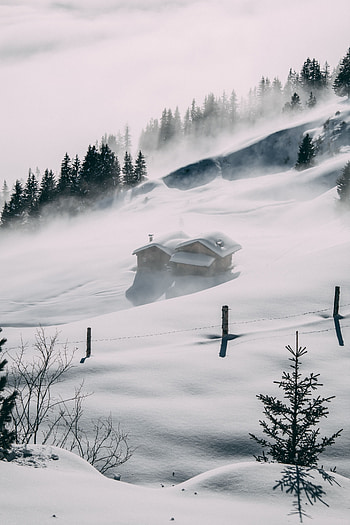Nature, Trees, Snow, Fog, Small House, Lodge, Elevation HD phone wallpaper