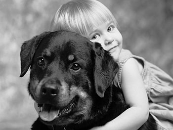 He is mine, color, expression, , new HD wallpaper