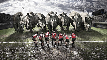 Sports, Field, Mud, Dirt, Team, Rhinos, Rugby HD wallpaper
