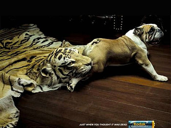 Creative-Advertisement, advertisements, cool, creative HD wallpaper
