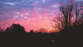 Nature, Sunset, Sky, Night, Wood, Tree HD wallpaper