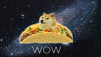 Doge and His Raining Tacos HD wallpaper