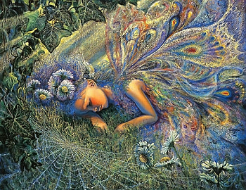 Flowers, Fantasy, Web, Wings, Little Fairy, Fatigue HD wallpaper
