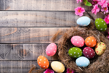 Easter, Holiday, Easter Egg, Nest HD wallpaper