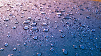 Close-up of water droplets on a surface, perfect for mobile . HD wallpaper
