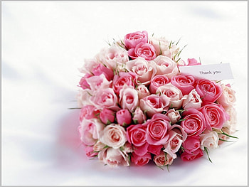 Plants, Flowers, Background, Bouquets HD wallpaper