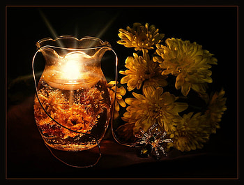 still life 1, art , still life, nature, beautiful flowers HD wallpaper