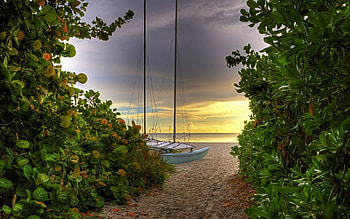 Nature, Sea, Beach, Sand, Road, Greens, Mast, Yacht HD wallpaper