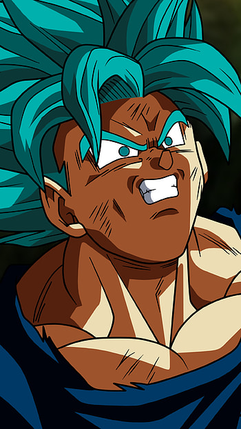 Goku SSJ Blue..!, Anime, Dragon Ball Super HD phone wallpaper