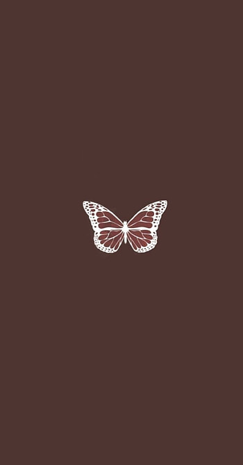Brown butterfly, isa HD phone wallpaper