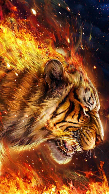 Tiger's gaze, Captivating pattern, Roaming ly, Untamed spirit HD phone wallpaper