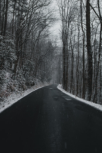 Nature, Trees, Snow, Road, Turn, Mainly Cloudy, Overcast HD phone wallpaper