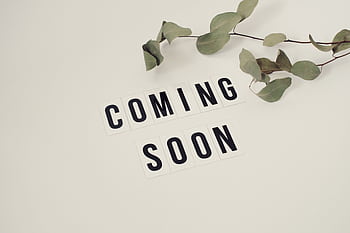 Eucalyptus branch with 'Coming Soon' message on white background for announcements. HD wallpaper