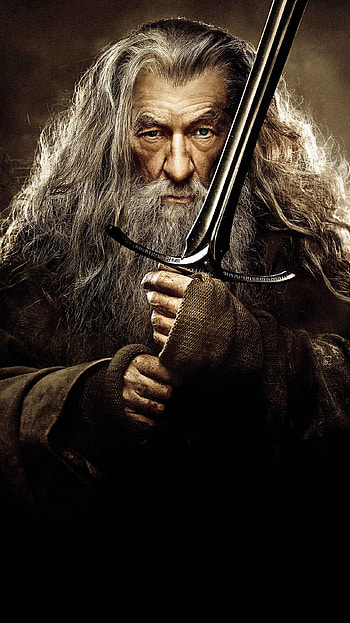 The Hobbit: The Desolation of Smaug (2022) movie HD phone wallpaper