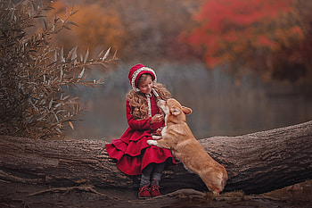 Little Girl, Friends, Park, Dog, Autumn, Leaves HD wallpaper