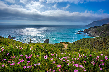 Big Sur, California, wildflowers, sea, coast, clouds, view, sky, meadow, ocean HD wallpaper