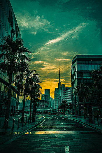 Architecture, Cities, Palms, City, Building HD phone wallpaper