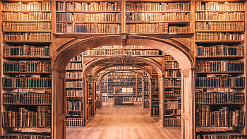 Bookshelf Book Room Library Travel HD wallpaper