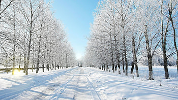 Landscape, Winter, Roads HD wallpaper