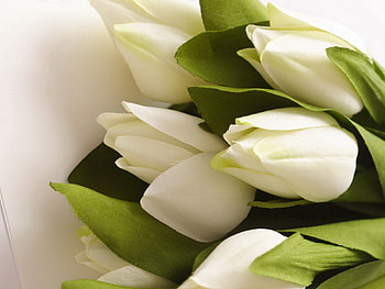 Flowers, Tulips, Bouquet, Artificial HD wallpaper