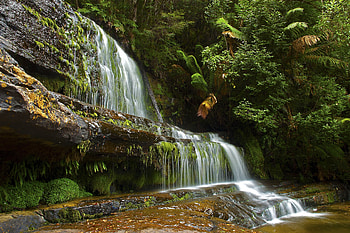 Landscape, Nature, Trees, Rocks, Waterfall HD wallpaper