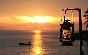 Lanterns, Festive decoration, Soft glow, Magical ambiance HD wallpaper